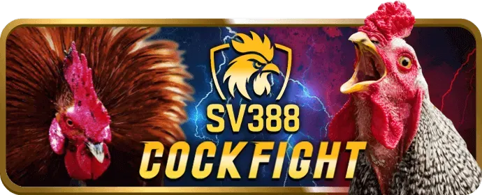 Trận đá gà trực tuyến kịch tính tại 66vn casino